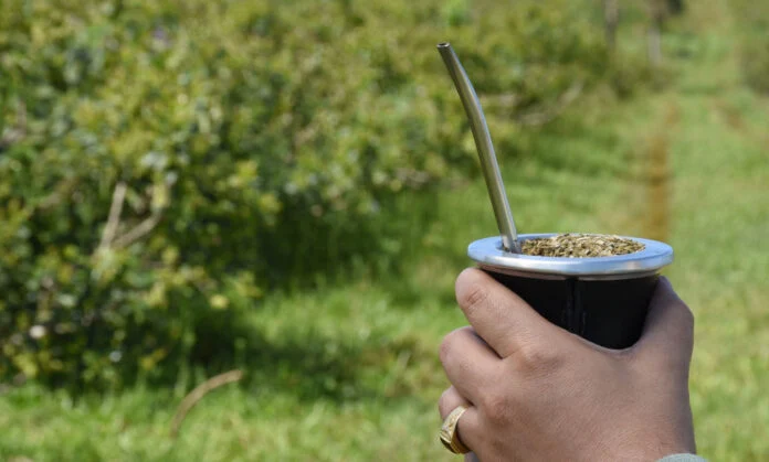 El ministro del Agro de Misiones destacó que la derogación de la prohibición del glifosato no modifica la calidad ni la salubridad de la yerba mate